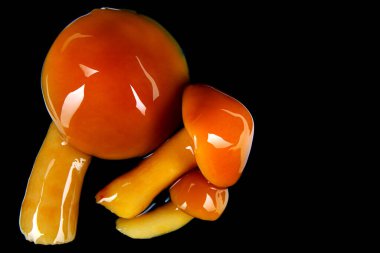 Turşu mantarları siyah arka planda izole edilir. Turşulu bal mantarı..