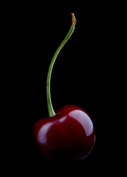 Cereza Madura Aísla Sobre Fondo Negro — Foto de Stock