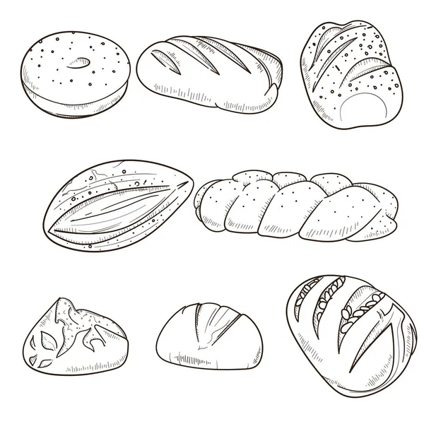 Fırın reklamı kampanyası için çizilmiş bir dizi ekmek vektör çizimi. beyaz arkaplanda izole