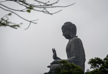 Dünyanın en yüksek bronz Buda Lantau Island, Hong Kong
