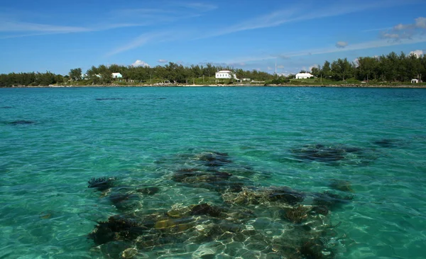 Oceano tropical verde, com um recife de caldeira visível — Fotografia de Stock