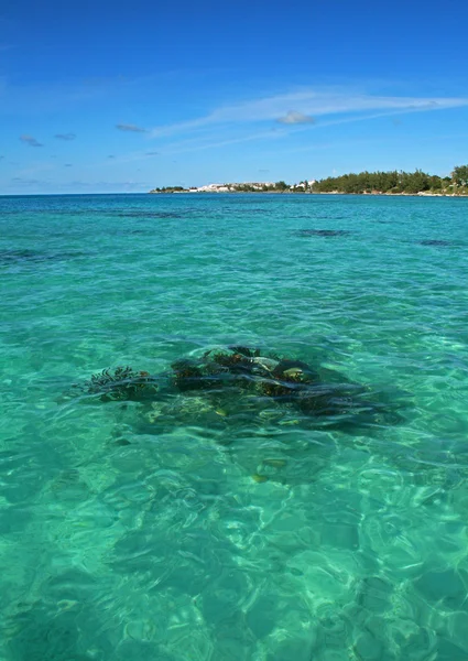 Oceano tropicale verde, con una barriera corallina caldaia visibile — Foto Stock