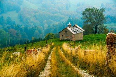 Uzun sarı çimenli kır yolu İtalya 'da Campofontana, Verona, Veneto yakınlarındaki Monti Lessini bölge parkında tipik bir taş kiliseye çıkıyor.