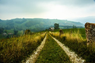 Uzun sarı çimenli kır yolu İtalya 'da Campofontana, Verona, Veneto yakınlarındaki Monti Lessini bölge parkında tipik bir taş kiliseye çıkıyor.
