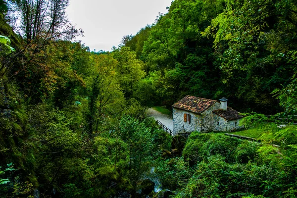 Starý Mlýn Lesích Parku Caglieron Obci Fregona Treviso Benátsko Itálie — Stock fotografie