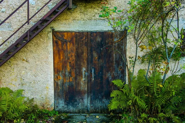 Porta Madeira Com Escada Ferro Rosas Caminho Das Grandes Árvores — Fotografia de Stock