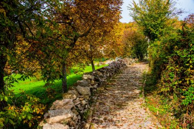 Covolo, Lusiana, Vicenza, İtalya 'ya uzanan sonbahar ağaçlarının olduğu antik kaldırım taşı caddesi.