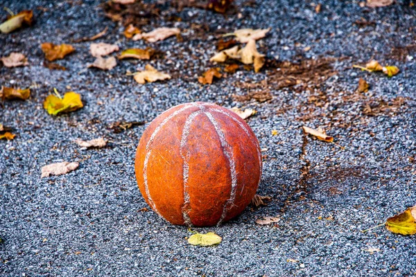 Vieux Basket Porté Par Temps Abandonné Parmi Les Feuilles Automne — Photo