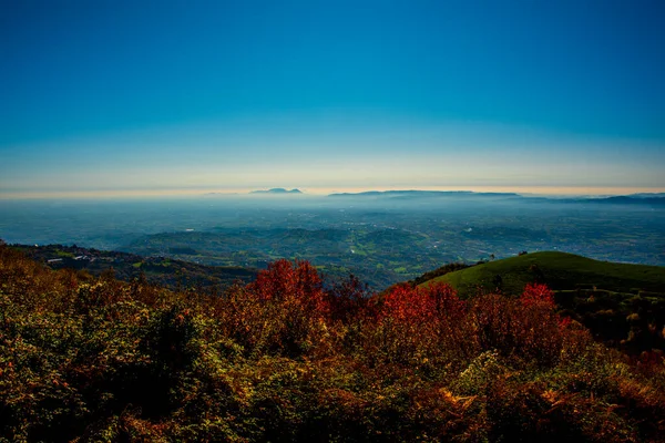 意大利维琴察州卢西阿纳市科诺山有红色和黄色树木的秋天落叶景观道路 — 图库照片