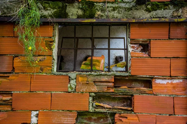 벽돌과 창문이 이탈리아 비첸차의 — 스톡 사진