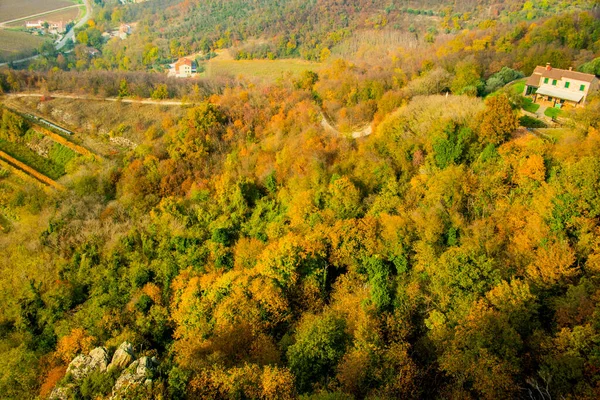 Varied Forest Bridges Autumn Foliage Euganean Hills Monte Cinto Cinto — Stock Photo, Image