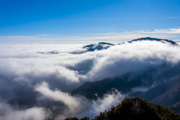 意大利维琴察罗市周围的云彩和高山山峰 云中长着松树和岩石 — 图库照片