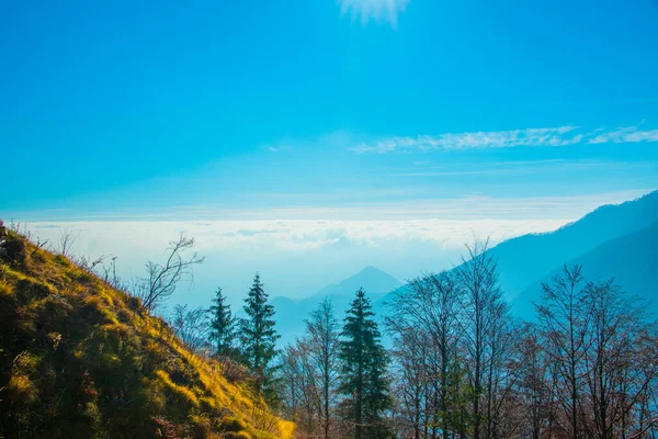 Chmury Szczyty Alpejskie Sosnami Skałami Chmurach Wokół Recoaro Vicenza Włochy — Zdjęcie stockowe