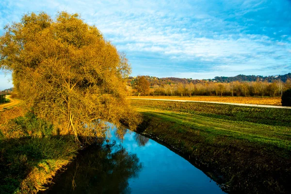 Die Ufer Des Flusses Bacchiglione Mit Herbstlichen Bäumen Vicenza Italien — Stockfoto