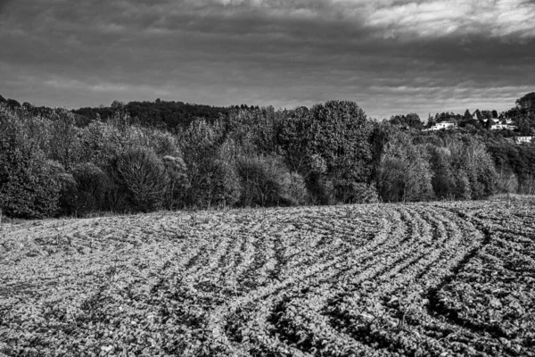 Campos Fluidos Serpentean Través Los Bosques Otoño Vicenza Italia — Foto de Stock