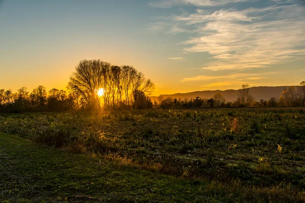 Pôr Sol Amarelo Entre Árvores Campos Arados Montegalda Vicenza Itália — Fotografia de Stock