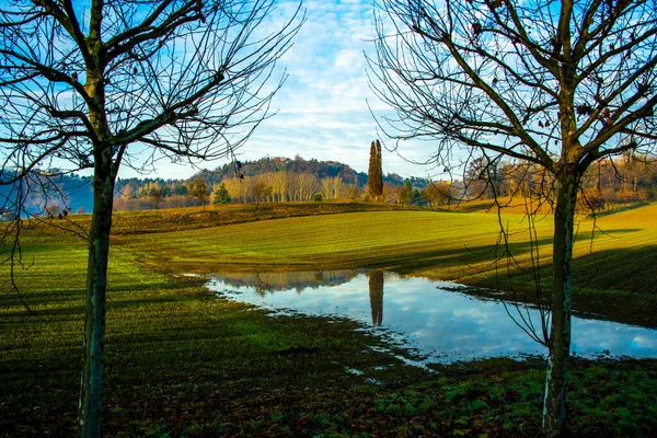 Die Gepflügten Felder Zwischen Den Bäumen Mit Nebel Frühen Morgen — Stockfoto