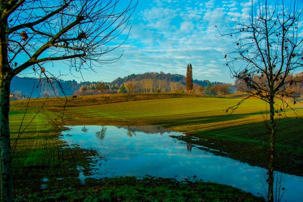 Die Gepflügten Felder Zwischen Den Bäumen Mit Nebel Frühen Morgen — Stockfoto