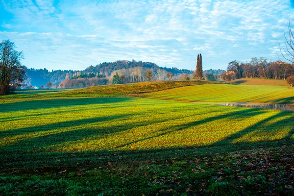 Die Gepflügten Felder Zwischen Den Bäumen Mit Nebel Frühen Morgen — Stockfoto