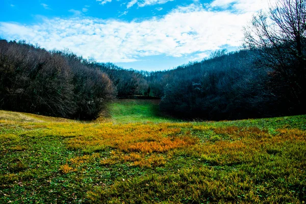 Campo Colorido Verde Amarelo Fechado Floresta Final Outono Villaga Vicenza — Fotografia de Stock