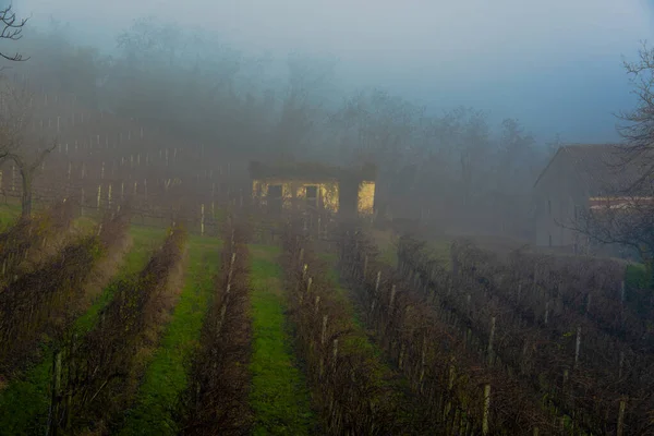 Sis ve asırlık üzüm bağları arasındaki enkaz Villaga, Vicenza İtalya