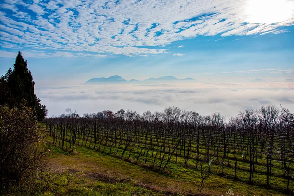 Szőlőültetvények Ősszel Felhős Felett Dombok Villaga Vicenza Olaszország — Stock Fotó