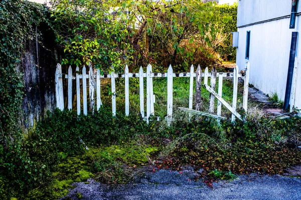 雑草が生えてくる頃には白い木製の柵が破壊され — ストック写真