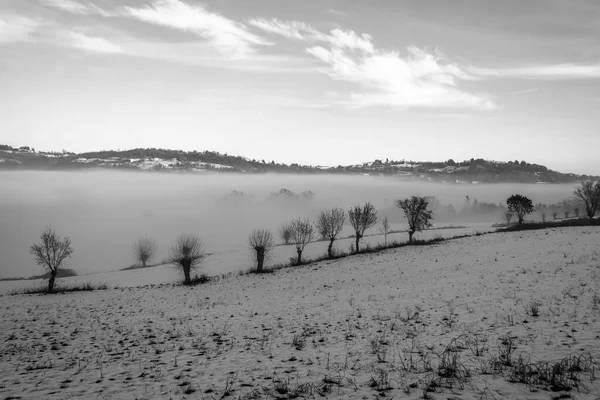 Alberi Tra Prati Innevati Delle Colline Vicenza — Foto Stock