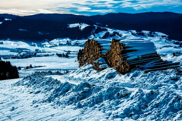 Baumstämme Stapeln Sich Unter Dem Schnee Asiago Vicenza Italien — Stockfoto
