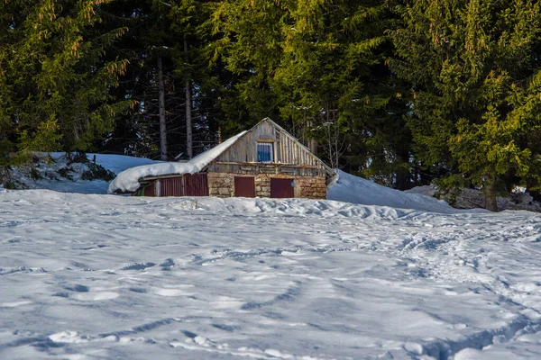 イタリアのアジアゴで1月の雪と木の間の小さな小屋 — ストック写真