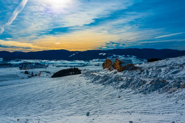 Baumstämme Stapeln Sich Unter Dem Schnee Asiago Vicenza Italien — Stockfoto