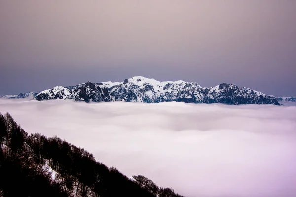 Horizonte Llanura Veneciana Inmersa Nubes Entre Niebla Nieve Con Árboles — Foto de Stock