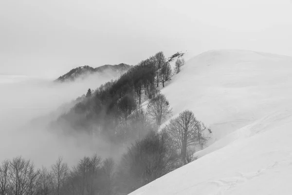 Orizzonte Della Pianura Veneta Immerso Nuvole Tra Nebbia Neve Con — Foto Stock