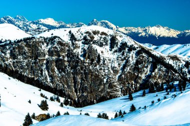 Mavi gökyüzü ve yeşil ağaçlarla kaplı Monte Grappa 'da kar görünüyor, Vicenza.