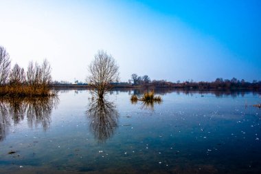 Bitkiler İtalya 'nın Vicenza kenti yakınlarındaki gölün sakin sularına yansımaktadır.