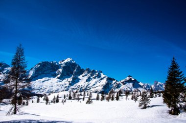 Dolomit kayaları kar ve çam ağaçları ile bir kış günü mavi gökyüzü ile Val di Zoldo, Belluno, İtalya üzerinde