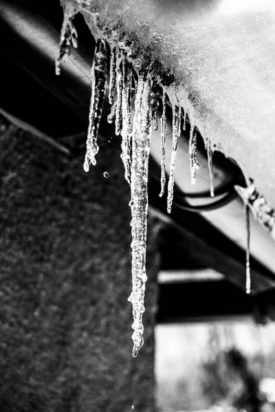 ice stalactites on the roof of a house on the Zoldo valley, Belluno, Italy