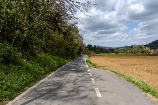 Route Entre Végétation Printanière Les Champs Cultivés Sovizzo Vicenza Italie — Photo
