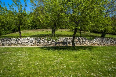 Ağaçların gölgesinde ıssız bankları olan bahar çayırı