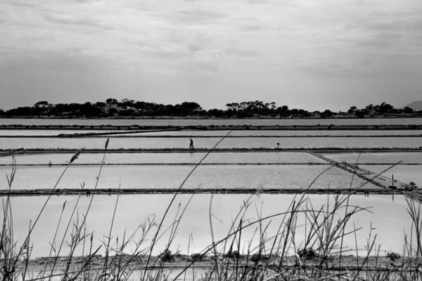 Salina Marsala Lagoa Stagnone Com Moinhos Vento Velhos Pântanos Sal — Fotografia de Stock