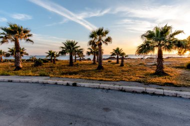 Sicilya, Marsala Trapani 'de palmiye ağaçları arasında gün batımı