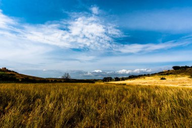 Selinunte Trapani İtalya arkeoloji parkındaki sarı buğday yeşili zeytin korulukları ve sıra sıra asma ağaçlarıyla dolu tepelerin manzarası