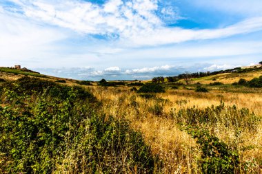Selinunte Trapani İtalya arkeoloji parkındaki sarı buğday yeşili zeytin korulukları ve sıra sıra asma ağaçlarıyla dolu tepelerin manzarası
