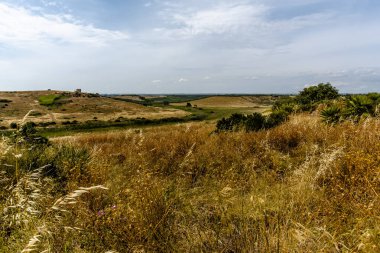 Selinunte Trapani İtalya arkeoloji parkındaki sarı buğday yeşili zeytin korulukları ve sıra sıra asma ağaçlarıyla dolu tepelerin manzarası