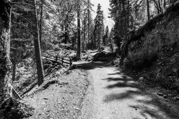 Road Woods Dolomites Cortina Ampezzo Upper Valle Del Boite Belluno — Foto de Stock