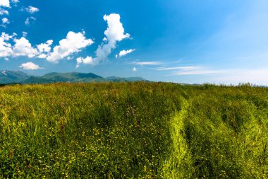 Vicenza Veneto İtalya 'daki Lessinia Doğal Parkı' nda mavi gökyüzü ve beyaz bulutlarla kaplı tepeler ve bahar çiçekleri.