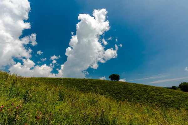 Heuvels Lentebloemen Met Blauwe Lucht Witte Wolken Het Lessinia Natuurpark — Stockfoto