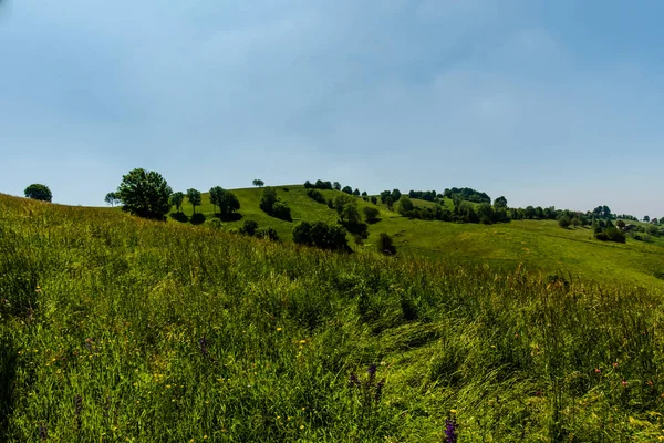 Hügel Und Frühlingsblumen Mit Blauem Himmel Und Weißen Wolken Naturpark — Stockfoto