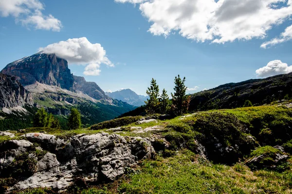 Frühlingspanorama Der Grünen Dolomitenwiesen Mit Schnee Und Rosa Felsen Falzarego — Stockfoto