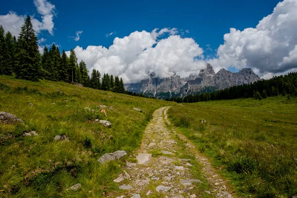 San Martino Castrozza Trento Talya Daki Calaita Gölü Ndeki Yeşil — Stok fotoğraf